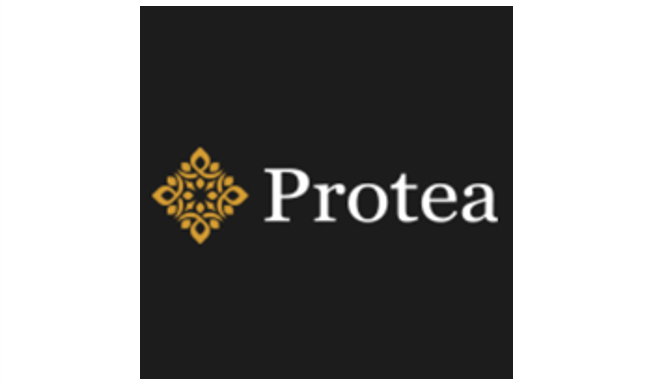 株式会社Protea